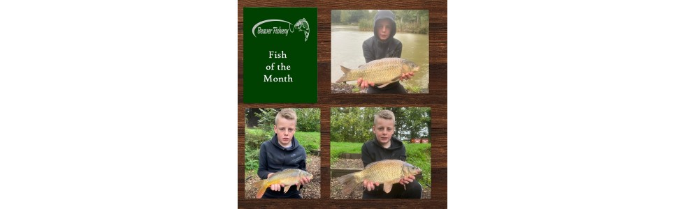 Fish of the Month 